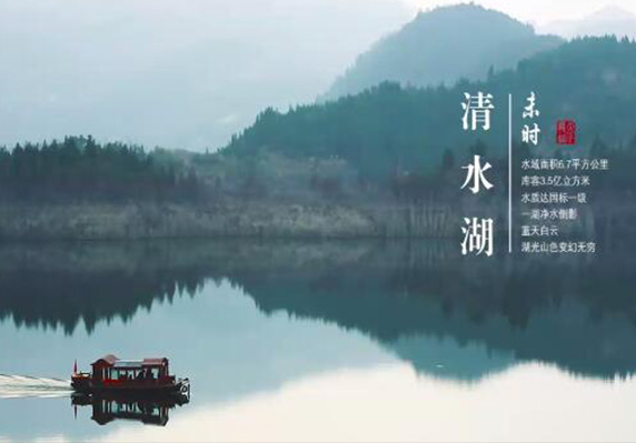 龙缸5A