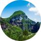 龙缸